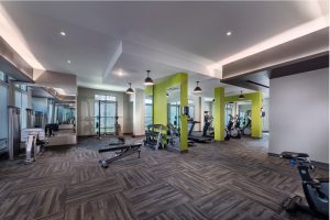 Gym Weights